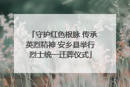 守护红色根脉 传承英烈精神 安乡县举行烈士统一迁葬仪式