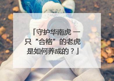 守护华南虎 一只“合格”的老虎是如何养成的？