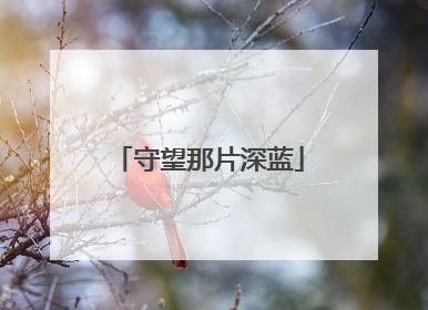 守望那片深蓝