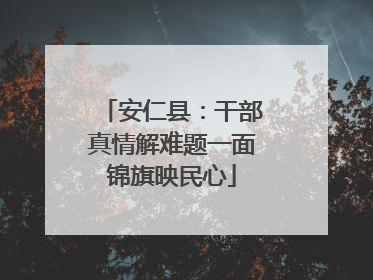 安仁县：干部真情解难题一面锦旗映民心