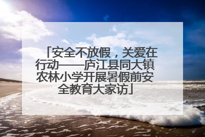 安全不放假，关爱在行动——庐江县同大镇农林小学开展暑假前安全教育大家访