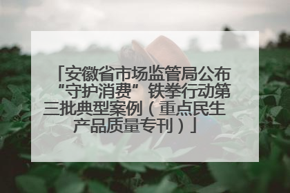安徽省市场监管局公布“守护消费”铁拳行动第三批典型案例（重点民生产品质量专刊）