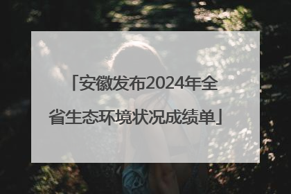 安徽发布2024年全省生态环境状况成绩单