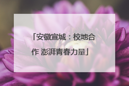 安徽宣城：校地合作 澎湃青春力量