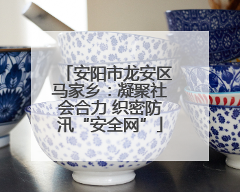 安阳市龙安区马家乡：凝聚社会合力 织密防汛“安全网”