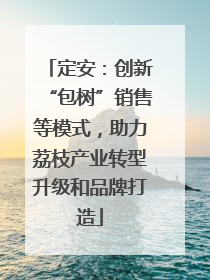 定安：创新“包树”销售等模式，助力荔枝产业转型升级和品牌打造