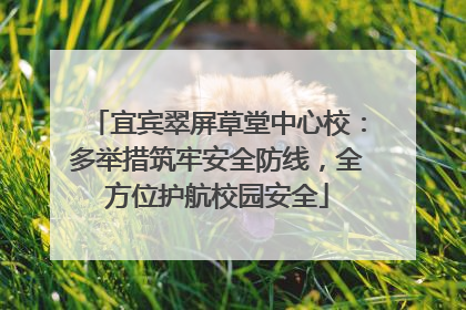 宜宾翠屏草堂中心校：多举措筑牢安全防线，全方位护航校园安全