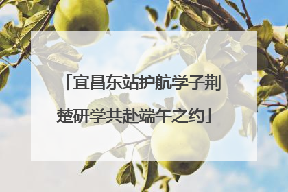 宜昌东站护航学子荆楚研学共赴端午之约