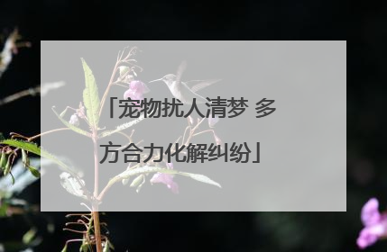 宠物扰人清梦 多方合力化解纠纷