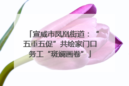宣威市凤凰街道：“五重五促”共绘家门口务工“斑斓画卷”