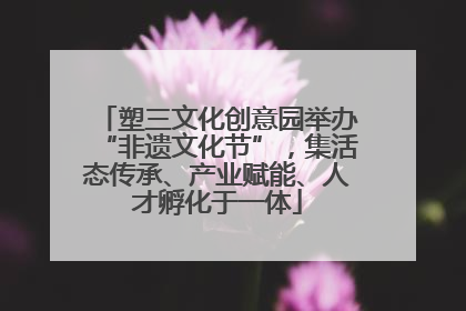 塑三文化创意园举办“非遗文化节”，集活态传承、产业赋能、人才孵化于一体