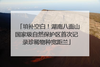 填补空白！湖南八面山国家级自然保护区首次记录珍稀物种宽距兰