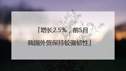增长2.5%，前5月我国外贸保持较强韧性