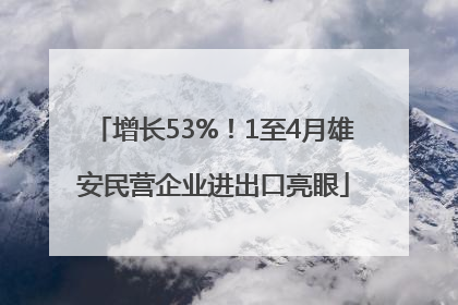 增长53%！1至4月雄安民营企业进出口亮眼