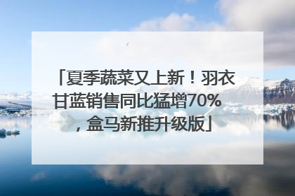 夏季蔬菜又上新！羽衣甘蓝销售同比猛增70%，盒马新推升级版