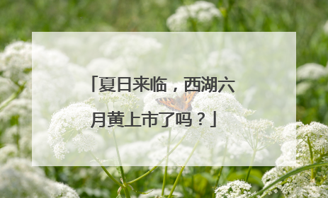 夏日来临，西湖六月黄上市了吗？