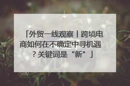 外贸一线观察丨跨境电商如何在不确定中寻机遇？关键词是“新”