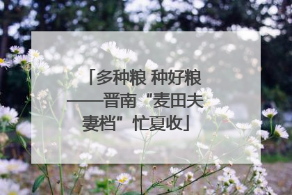 多种粮 种好粮——晋南“麦田夫妻档”忙夏收
