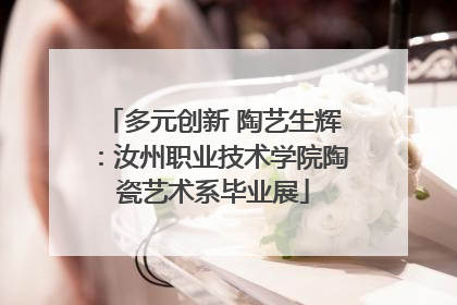 多元创新 陶艺生辉：汝州职业技术学院陶瓷艺术系毕业展
