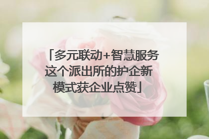 多元联动+智慧服务 这个派出所的护企新模式获企业点赞