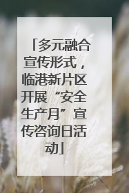 多元融合宣传形式，临港新片区开展“安全生产月”宣传咨询日活动