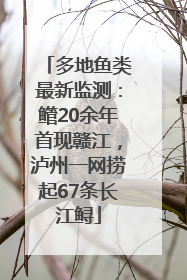 多地鱼类最新监测：鳤20余年首现赣江，泸州一网捞起67条长江鲟