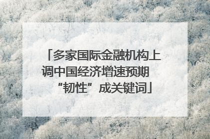 多家国际金融机构上调中国经济增速预期 “韧性”成关键词