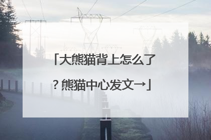 大熊猫背上怎么了？熊猫中心发文→