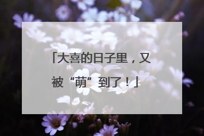大喜的日子里，又被“萌”到了！