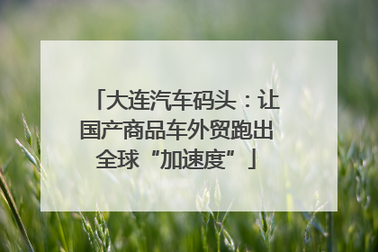 大连汽车码头：让国产商品车外贸跑出全球“加速度”