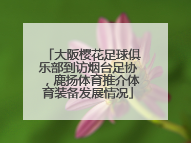 大阪樱花足球俱乐部到访烟台足协，鹿扬体育推介体育装备发展情况