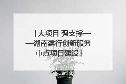 大项目 强支撑——湖南建行创新服务重点项目建设