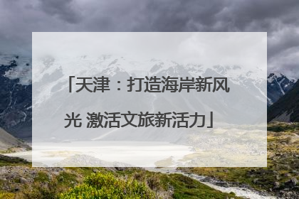 天津：打造海岸新风光 激活文旅新活力