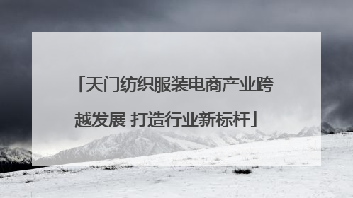 天门纺织服装电商产业跨越发展 打造行业新标杆