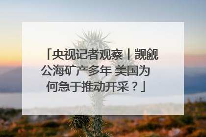 央视记者观察丨觊觎公海矿产多年 美国为何急于推动开采？