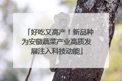 好吃又高产！新品种为安徽蔬菜产业高质发展注入科技动能