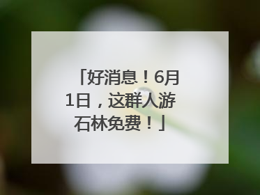 好消息！6月1日，这群人游石林免费！