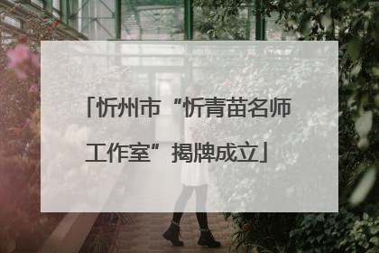 忻州市“忻青苗名师工作室”揭牌成立