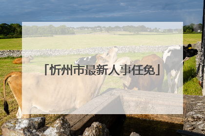 忻州市最新人事任免