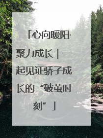 心向暖阳·聚力成长｜一起见证骄子成长的“破茧时刻”