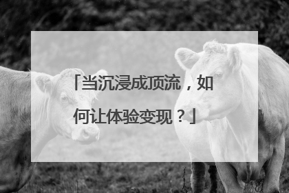 当沉浸成顶流，如何让体验变现？