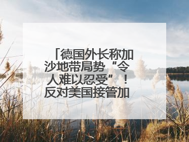 德国外长称加沙地带局势“令人难以忍受”！反对美国接管加沙地带的想法