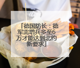 德国防长：德军需增兵多至6万才能达到北约新要求