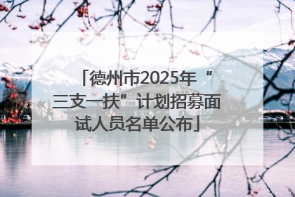 德州市2025年“三支一扶”计划招募面试人员名单公布