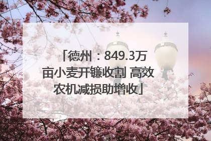 德州：849.3万亩小麦开镰收割 高效农机减损助增收
