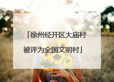 徐州经开区大庙村被评为全国文明村