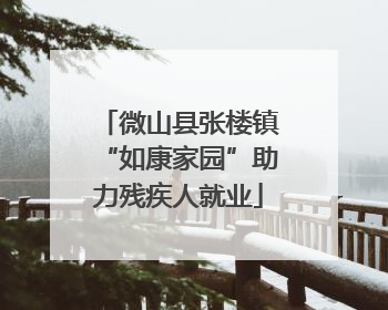 微山县张楼镇“如康家园”助力残疾人就业