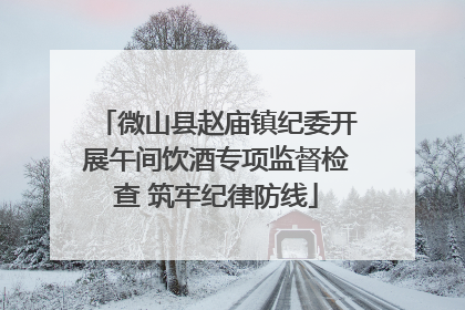 微山县赵庙镇纪委开展午间饮酒专项监督检查 筑牢纪律防线