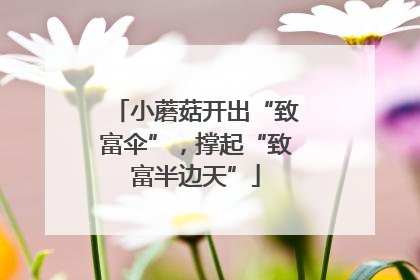 小蘑菇开出“致富伞”，撑起“致富半边天”