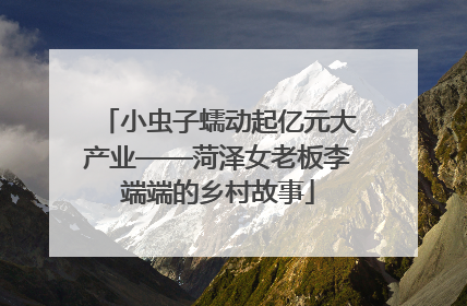 小虫子蠕动起亿元大产业——菏泽女老板李端端的乡村故事